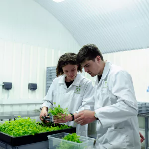 Coworking Spaces for Renewable Energy Entrepreneurs