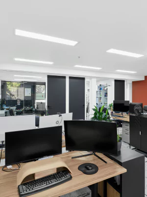shared workspace